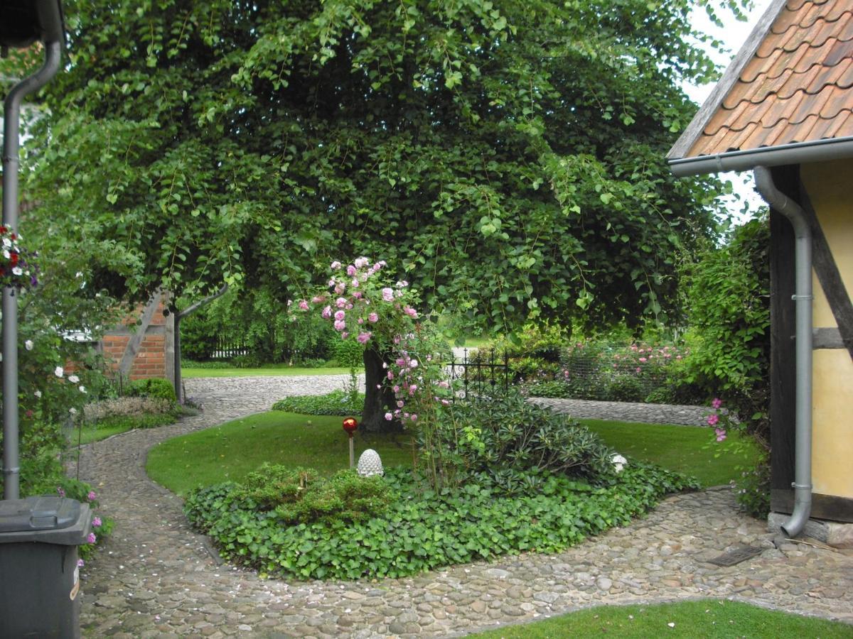 Landhaus Kiesow Suderburg Esterno foto