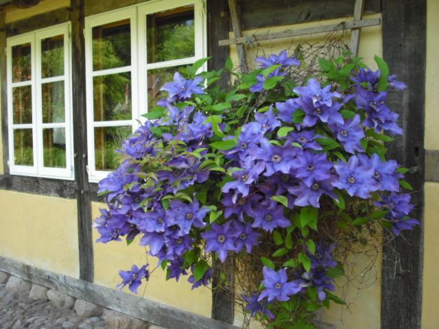 Landhaus Kiesow Suderburg Esterno foto